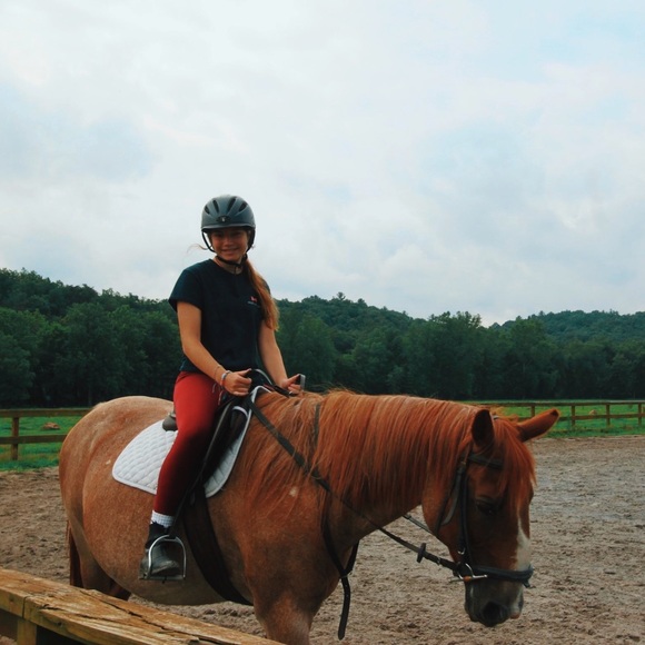 Meet your Posher, Maddie - Picture 5 of 5